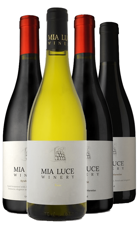 הכר את יקב מיה לוצה